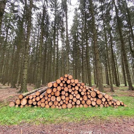 Vakantiehuis 4 Person In Ostervra-by Traum